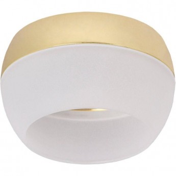 Накладной потолочный светильник IEK Lighting 4010 под лампу gx53 золото Накладной потолочный светильник IEK Lighting 4010 под лампу gx53 золото